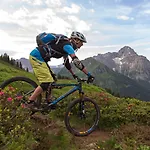 Aparthotel Alp-chalet 4*