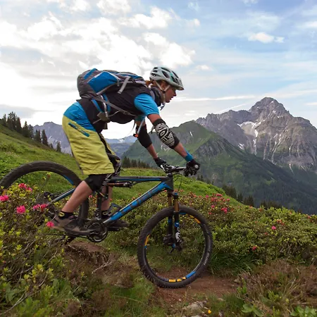 Aparthotel Alp-chalet 4*