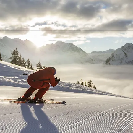 Alp-chalet Aparthotel