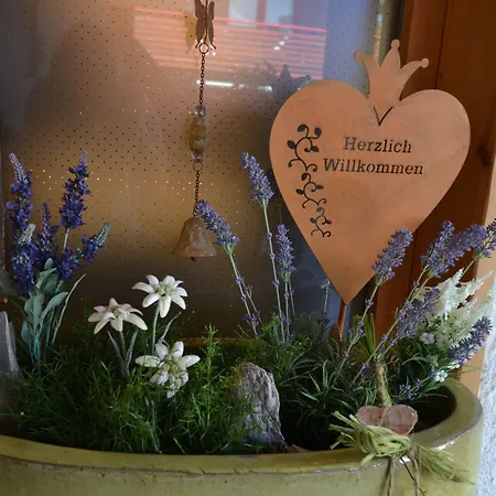 Alp-chalet Aparthotel