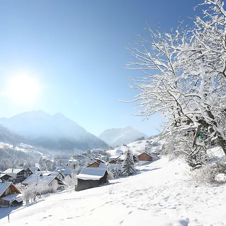 Alp-chalet Lejlighedshotel Hirschegg (Vorarlberg)