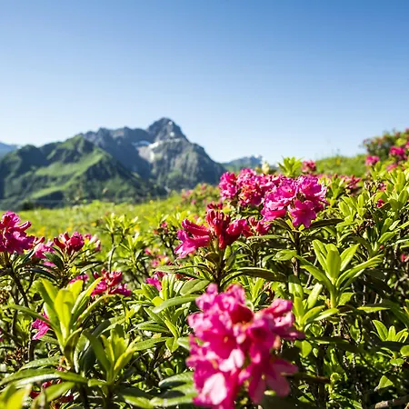 Alp-chalet Aparthotel 4*