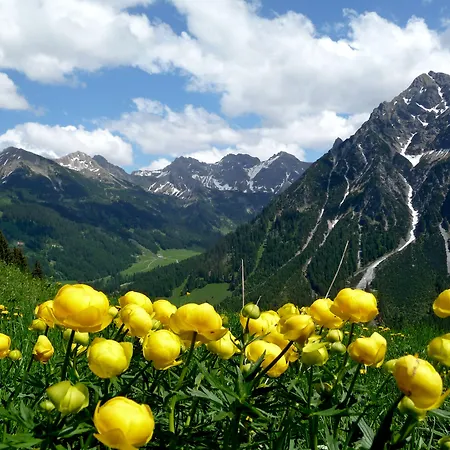Alp-chalet Hirschegg (Vorarlberg)