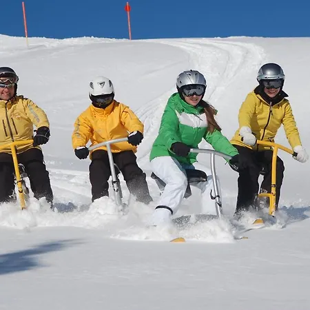 Aparthotel Alp-chalet Hirschegg (Vorarlberg)