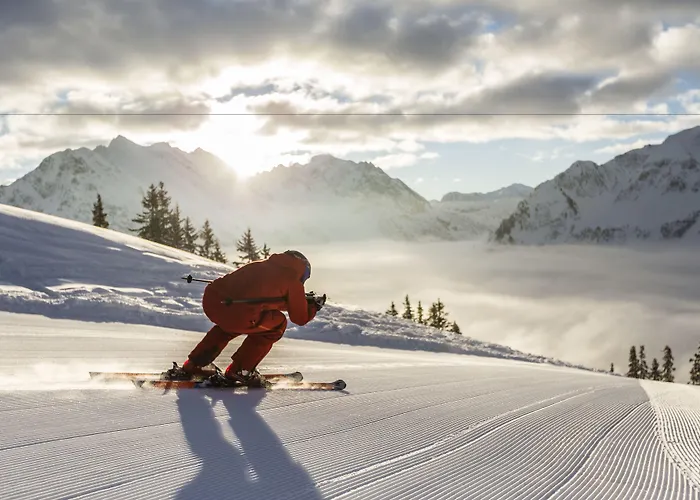 Alp-chalet Appart hôtel