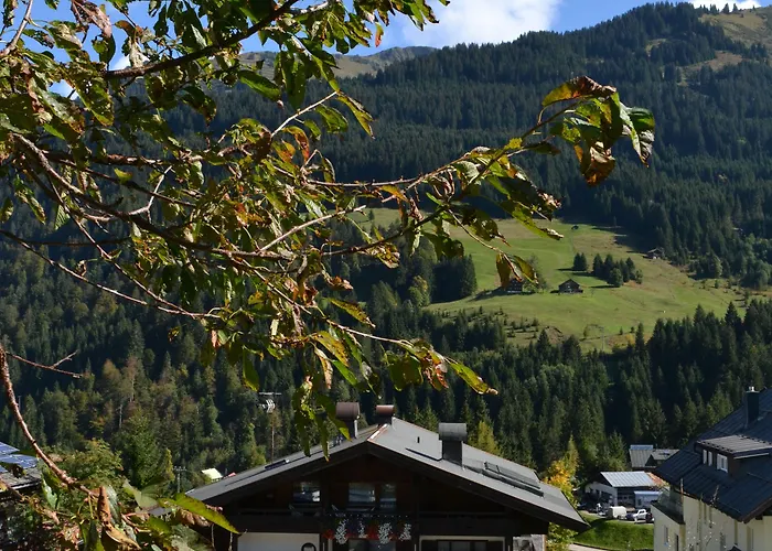 Alp-chalet Hirschegg (Vorarlberg)