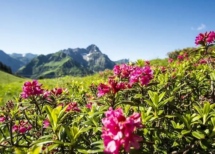 Alp-chalet Appart hôtel 4*