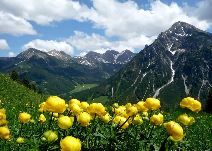 Alp-chalet Hirschegg (Vorarlberg)